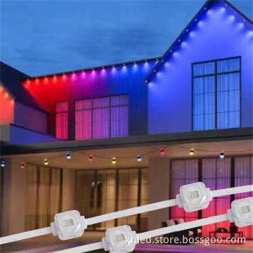 RGB Waterproof Permanent Outdoor Christmas Lights 25MM 1.5W for Holiday Decor